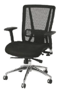 Ergonomic Mesh Office Chair - Lumbar Support - Suggested Retail $545, Your Sale Price Only $327