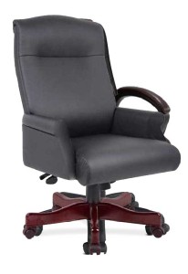Executive Leather Chair with rolled arms by DMI
