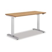HON Coze Worksurface with Coordinate Height Adjustable Base | 48"W x 24"D| Natural Recon Laminate